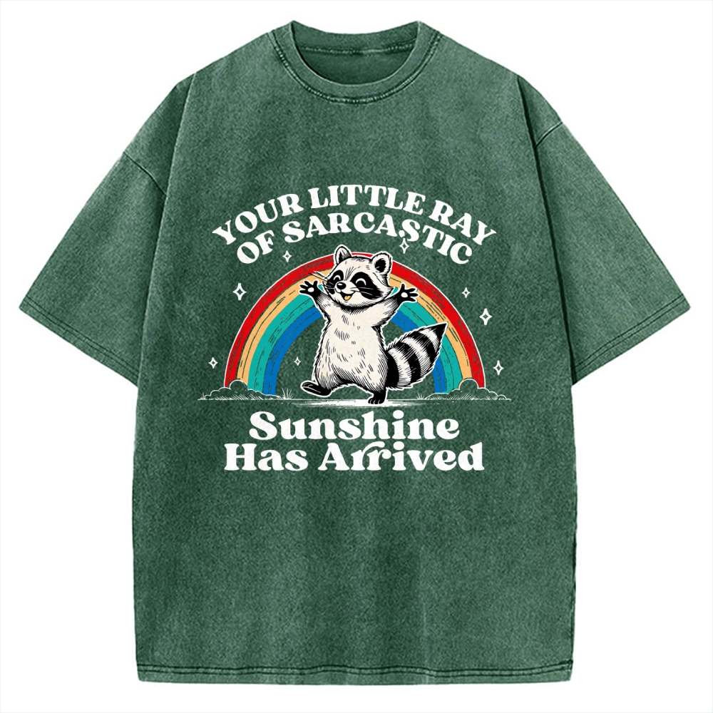 Your Little Ray of Sarcastic Sunshine Has Arrived Vintage Washed T-shirt