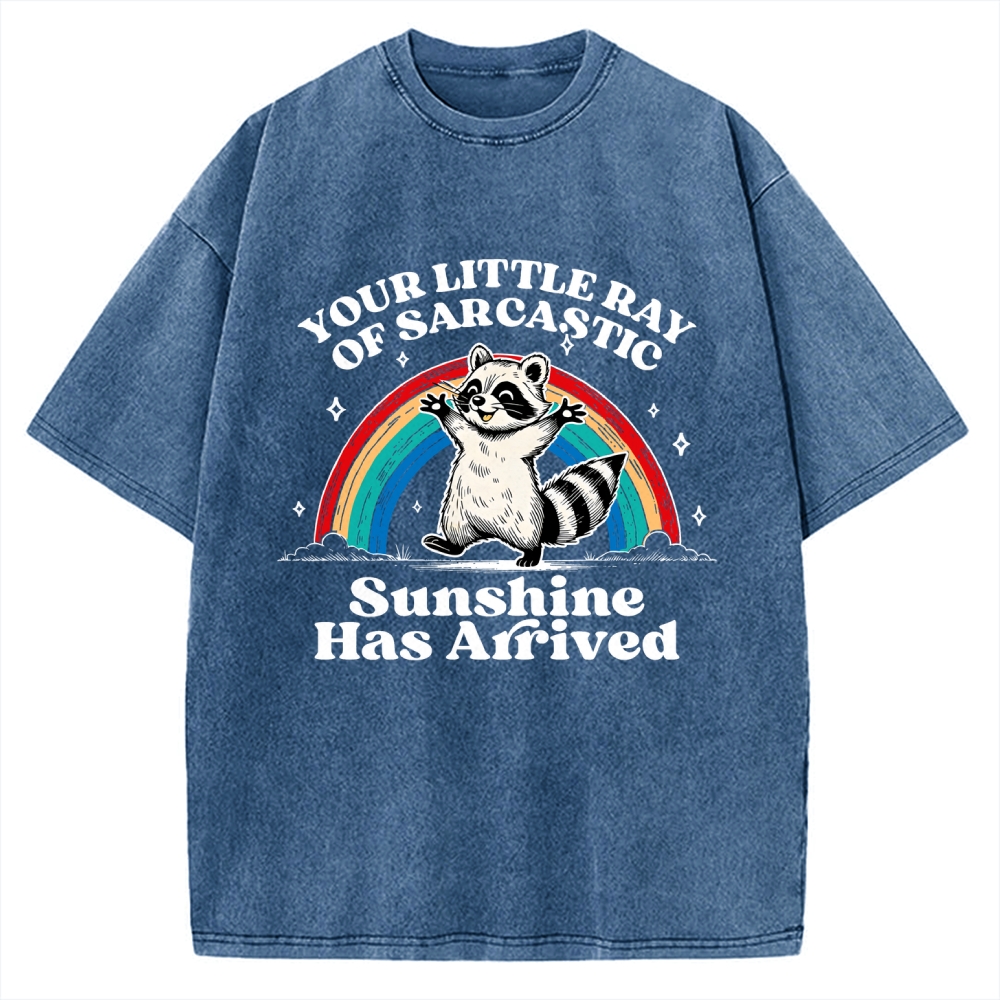 Your Little Ray of Sarcastic Sunshine Has Arrived Vintage Washed T-shirt