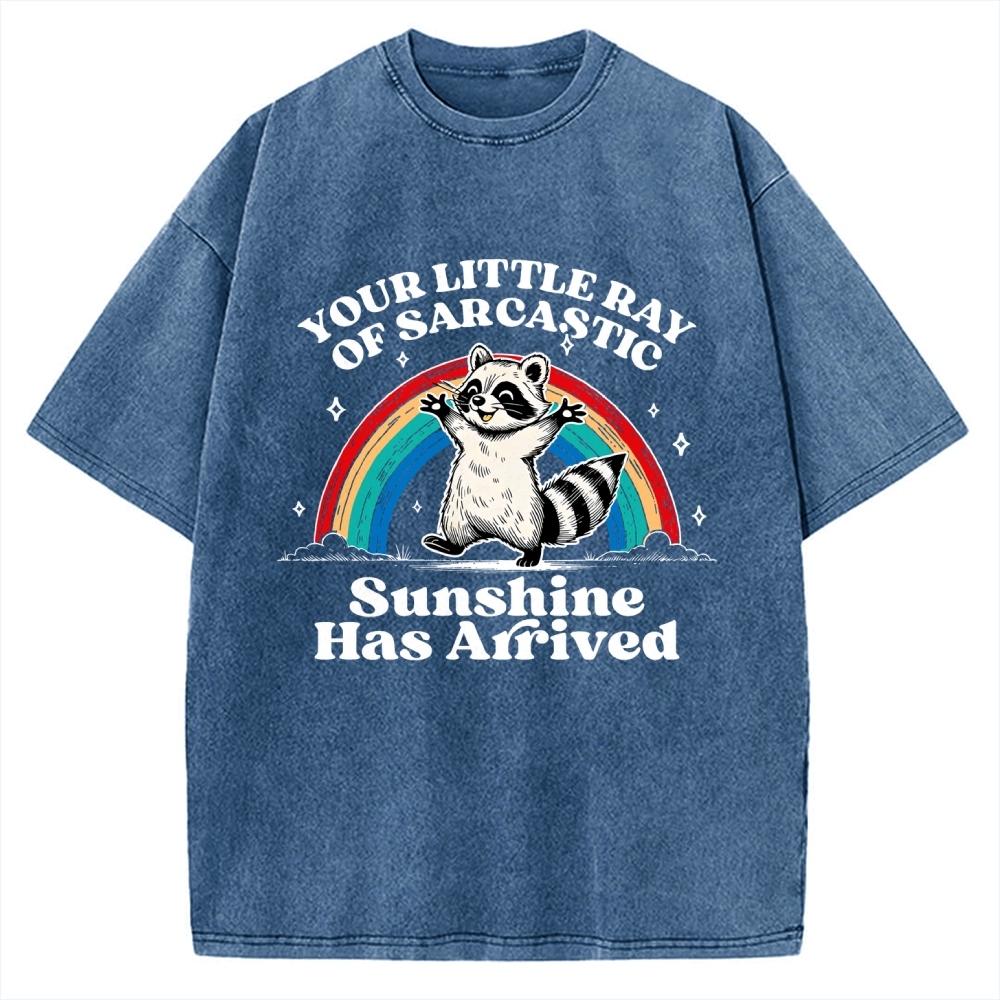 Your Little Ray of Sarcastic Sunshine Has Arrived Vintage Washed T-shirt