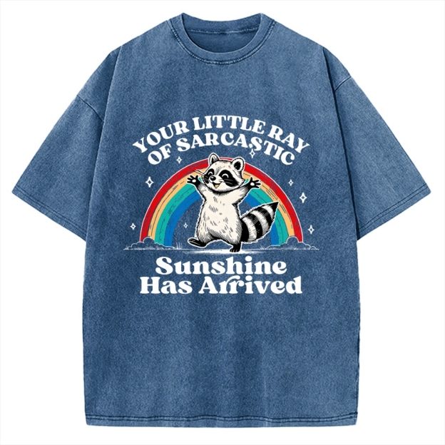 Your Little Ray of Sarcastic Sunshine Has Arrived Vintage Washed T-shirt