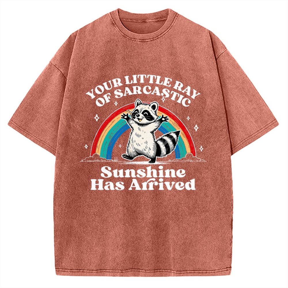 Your Little Ray of Sarcastic Sunshine Has Arrived Vintage Washed T-shirt