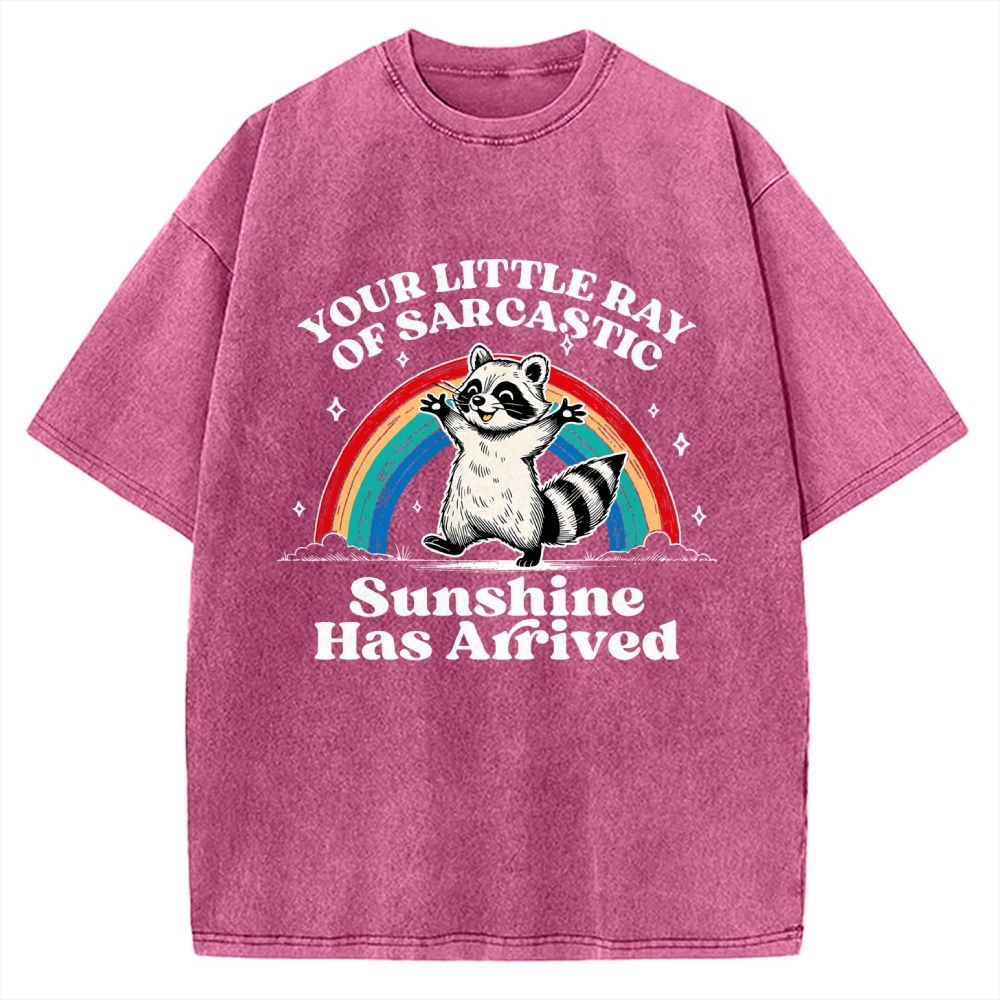 Your Little Ray of Sarcastic Sunshine Has Arrived Vintage Washed T-shirt