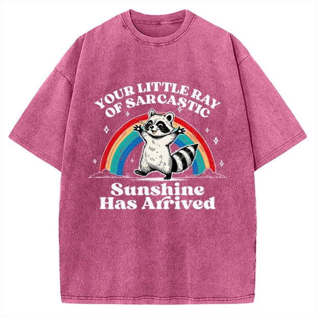 Your Little Ray of Sarcastic Sunshine Has Arrived Vintage Washed T-shirt