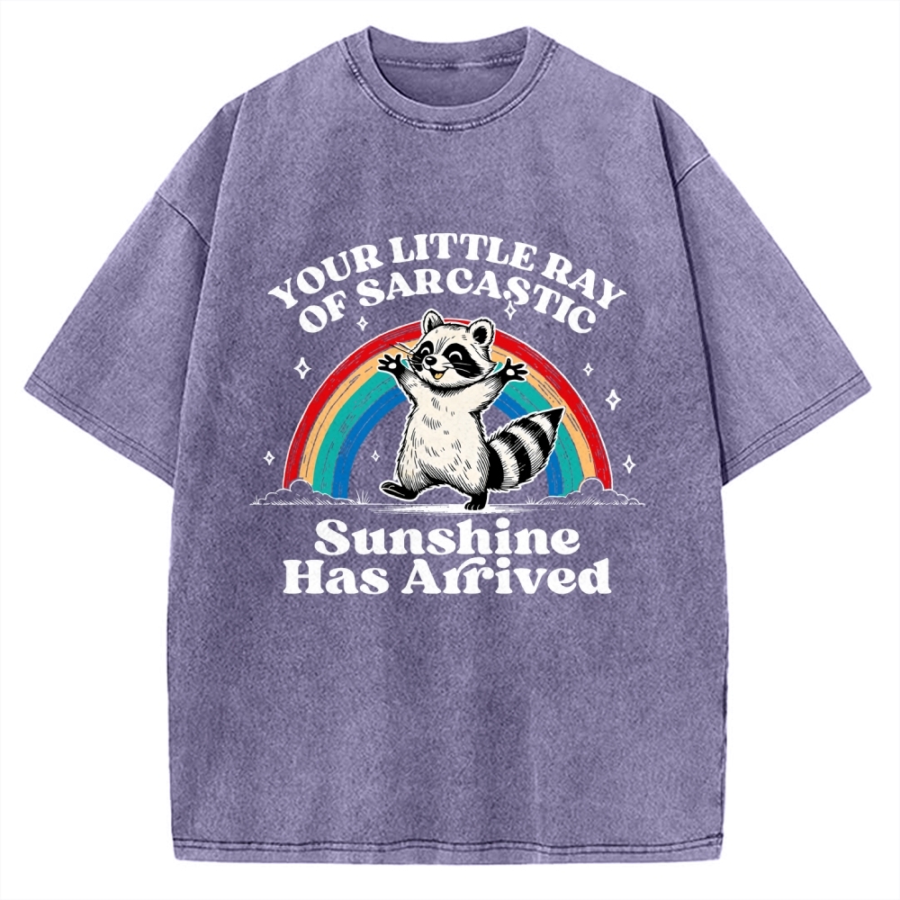 Your Little Ray of Sarcastic Sunshine Has Arrived Vintage Washed T-shirt