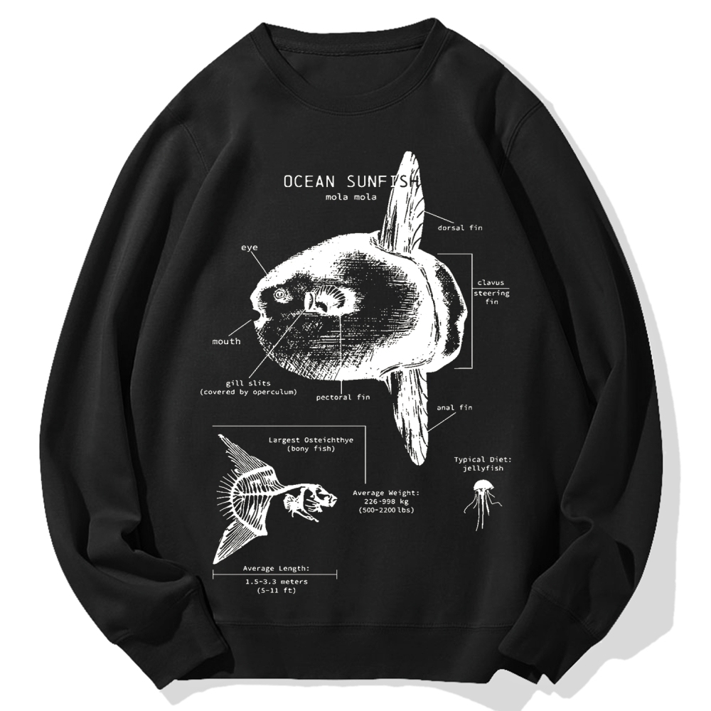 Ocean Sunfish Anatomy Cotton Sweatshirt