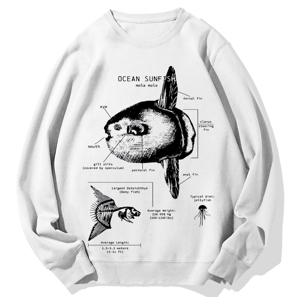 Ocean Sunfish Anatomy Cotton Sweatshirt