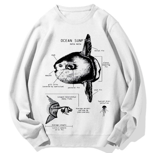 Ocean Sunfish Anatomy Cotton Sweatshirt