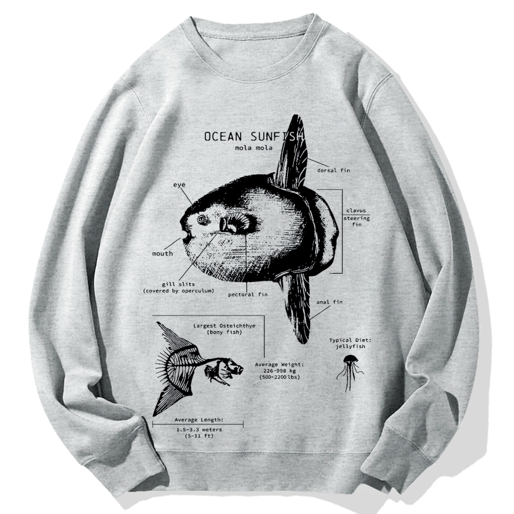 Ocean Sunfish Anatomy Cotton Sweatshirt