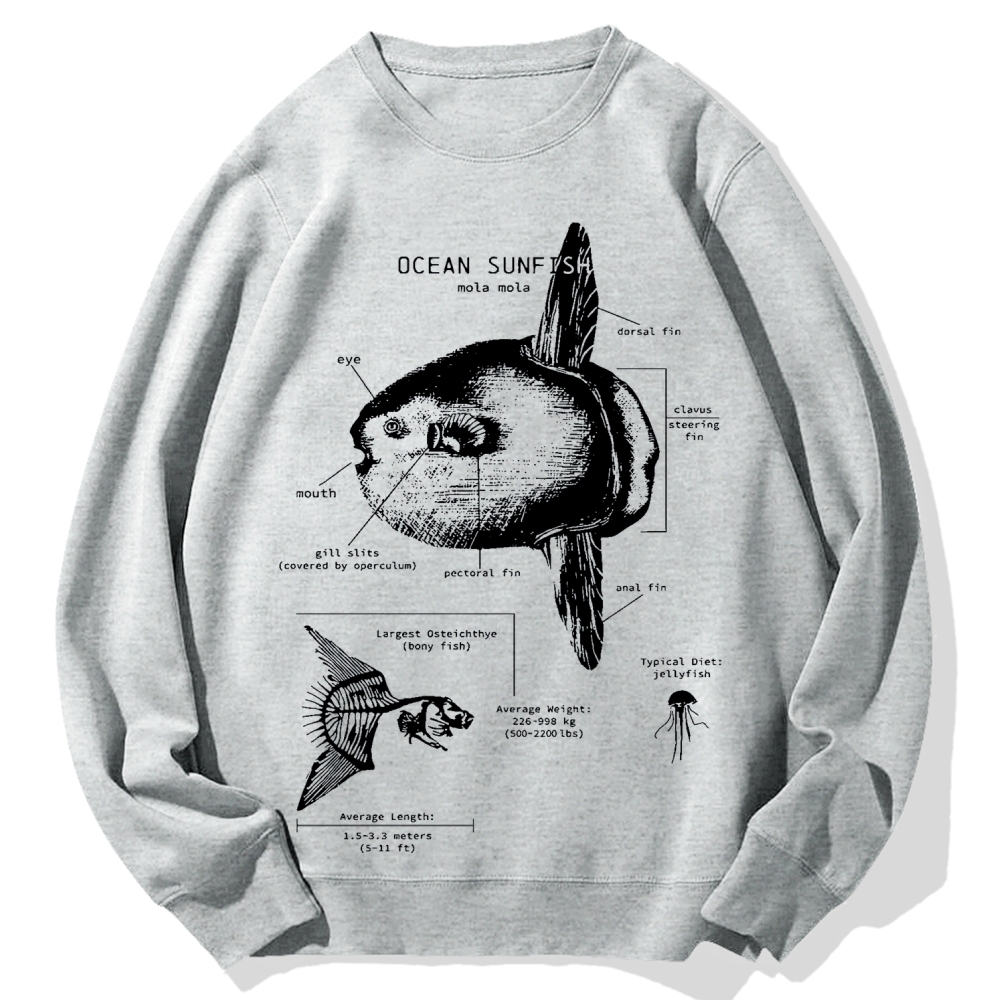 Ocean Sunfish Anatomy Cotton Sweatshirt