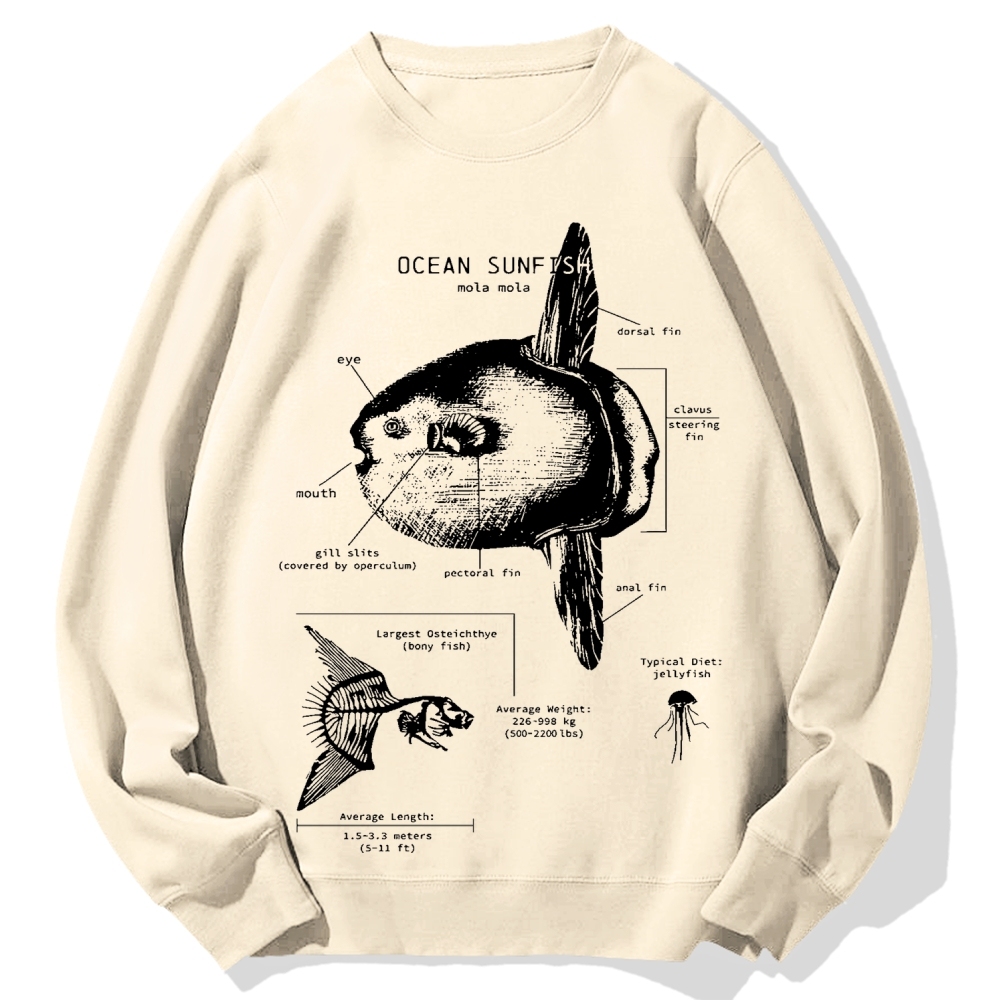 Ocean Sunfish Anatomy Cotton Sweatshirt