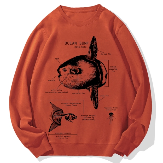Ocean Sunfish Anatomy Cotton Sweatshirt