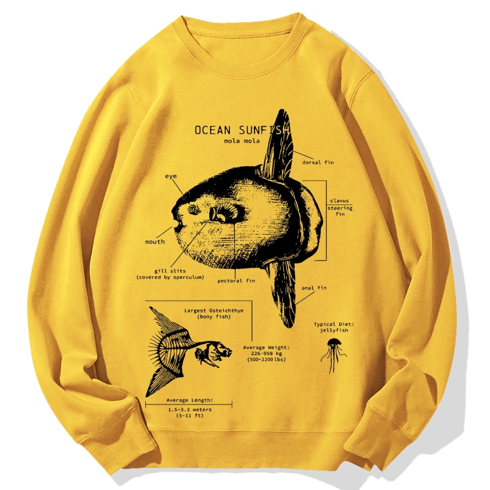Ocean Sunfish Anatomy Cotton Sweatshirt