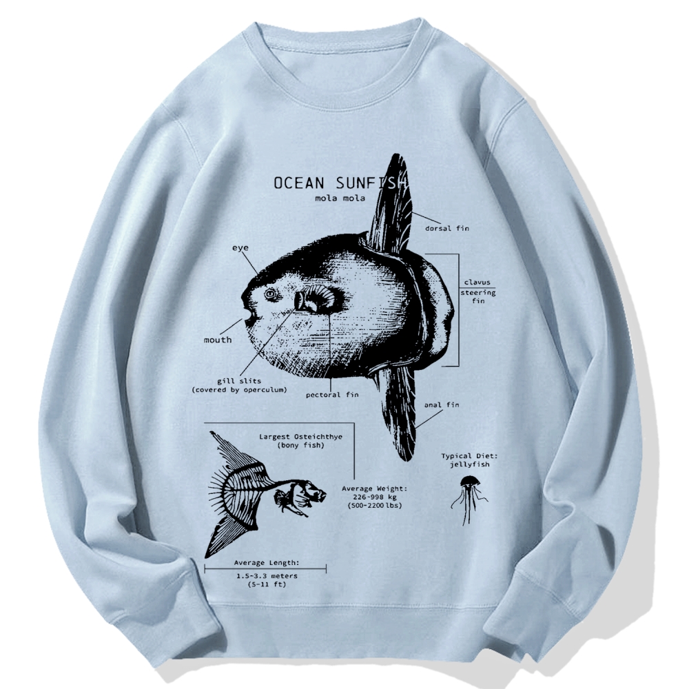 Ocean Sunfish Anatomy Cotton Sweatshirt