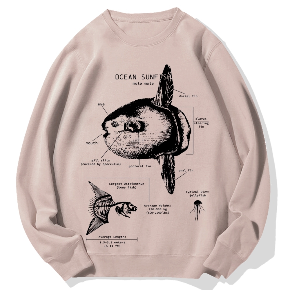 Ocean Sunfish Anatomy Cotton Sweatshirt