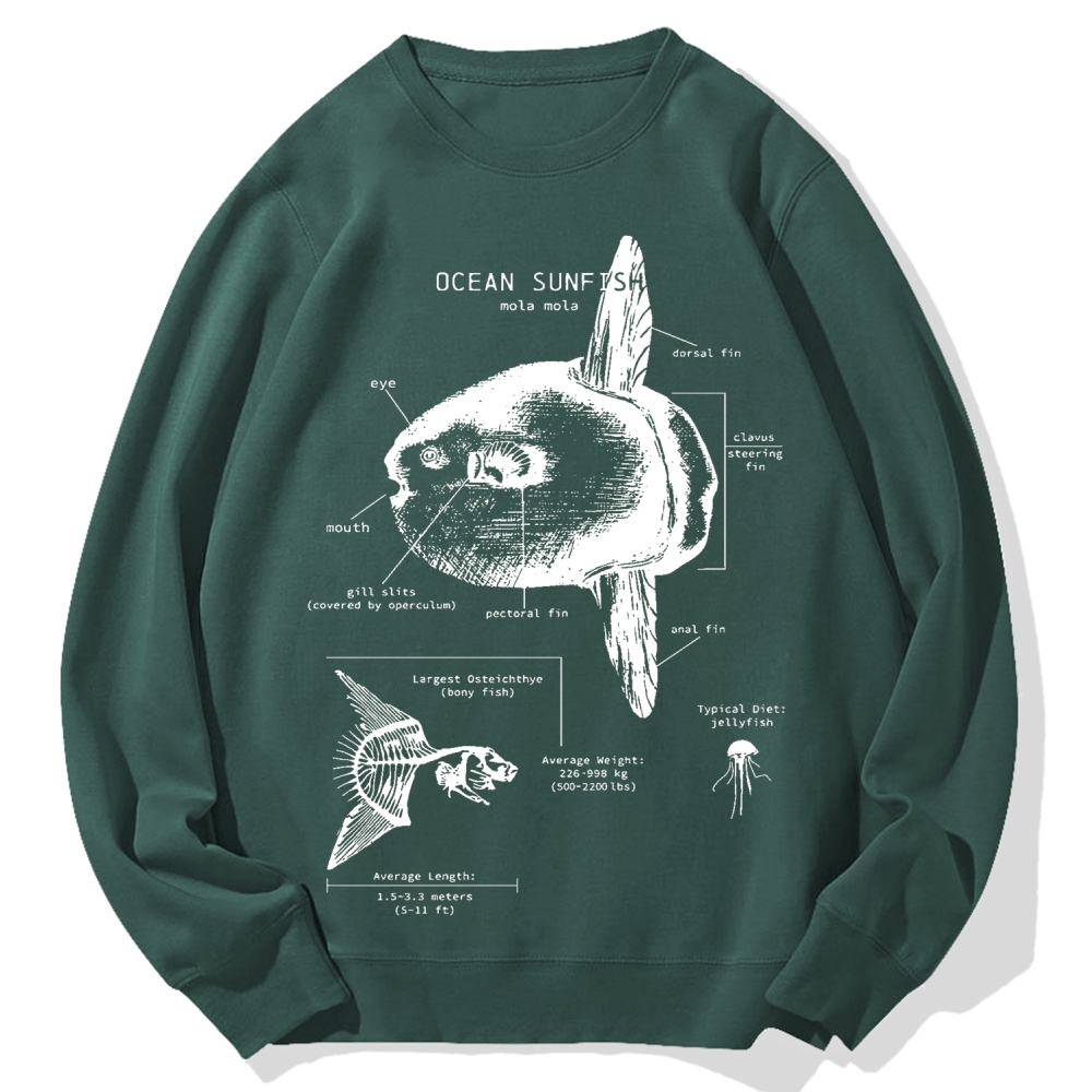 Ocean Sunfish Anatomy Cotton Sweatshirt