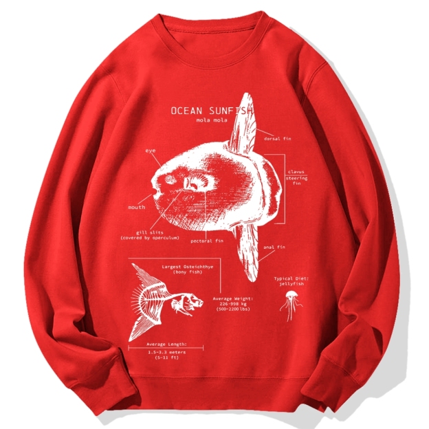 Ocean Sunfish Anatomy Cotton Sweatshirt