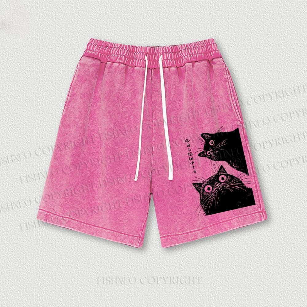 The Cat is Watching Today Washed Vintage Shorts