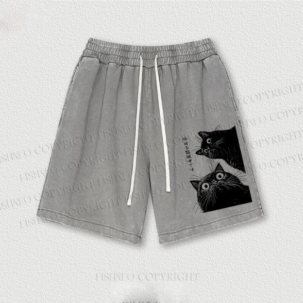 The Cat is Watching Today Washed Vintage Shorts