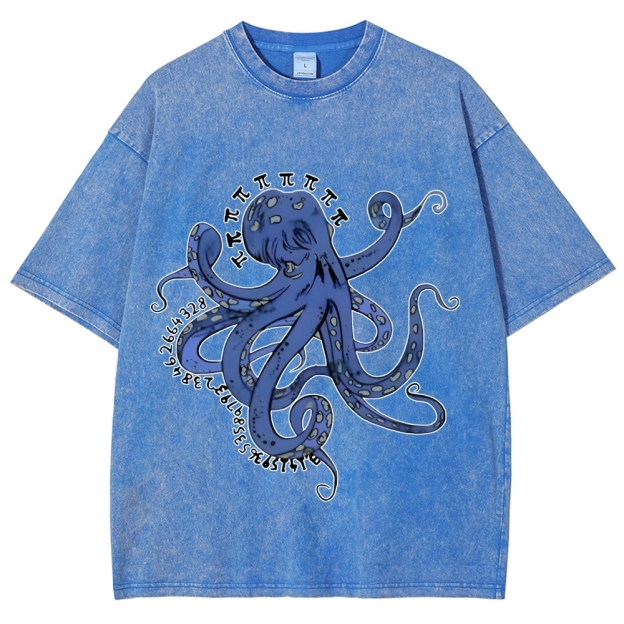 Pi Octopus Washed T-Shirt