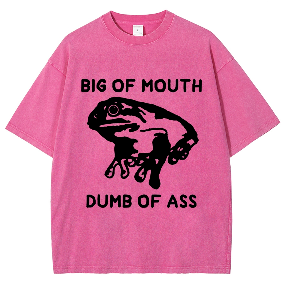 Big-Mouthed Frog Vintage Washed T-shirt