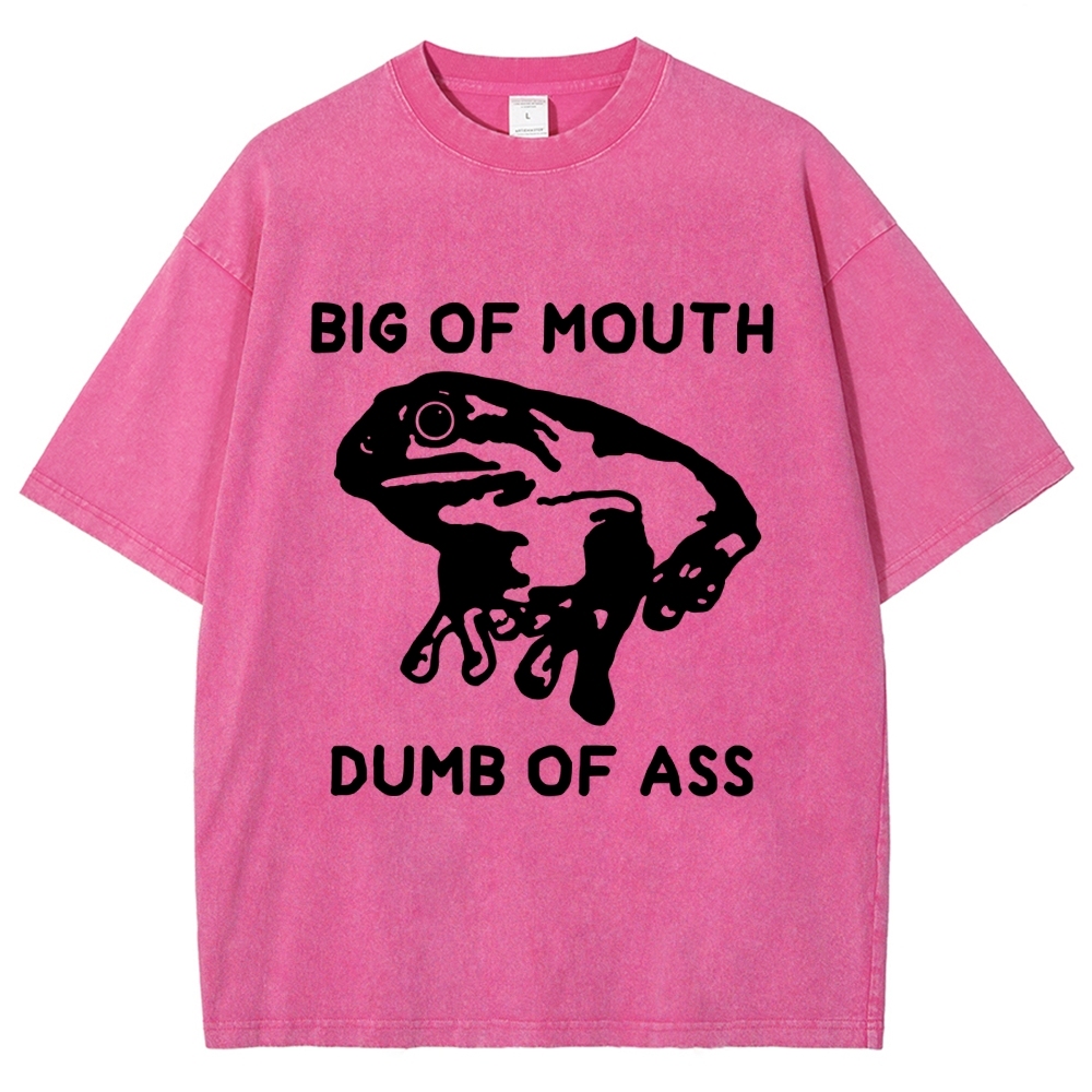 Big-Mouthed Frog Vintage Washed T-shirt