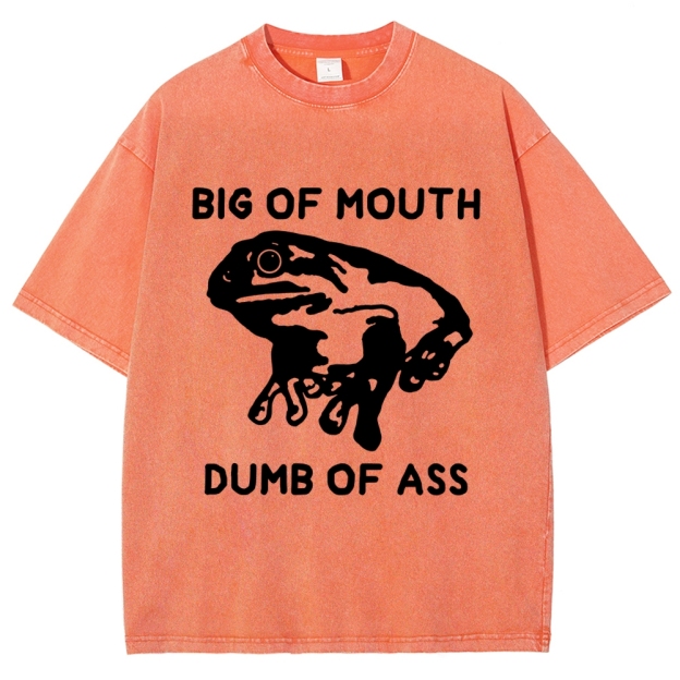 Big-Mouthed Frog Vintage Washed T-shirt