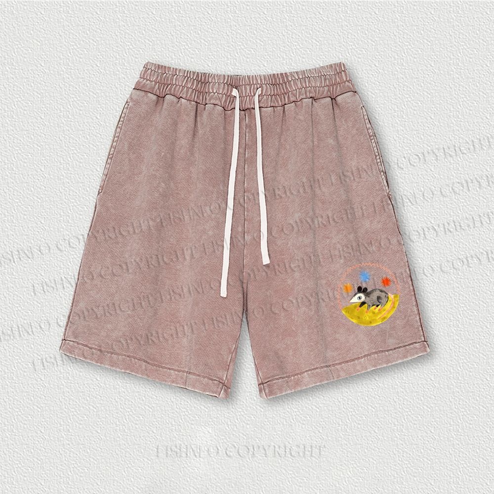 Cute Opossum Washed Vintage Shorts