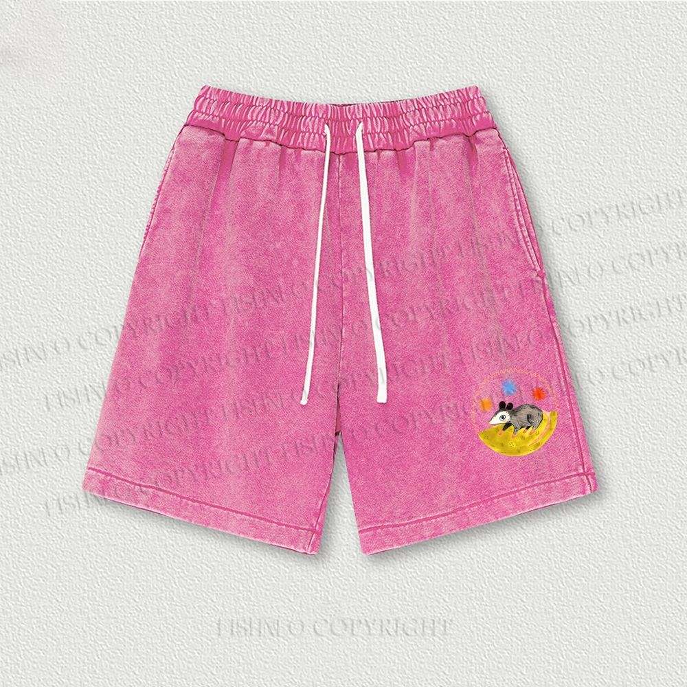 Cute Opossum Washed Vintage Shorts