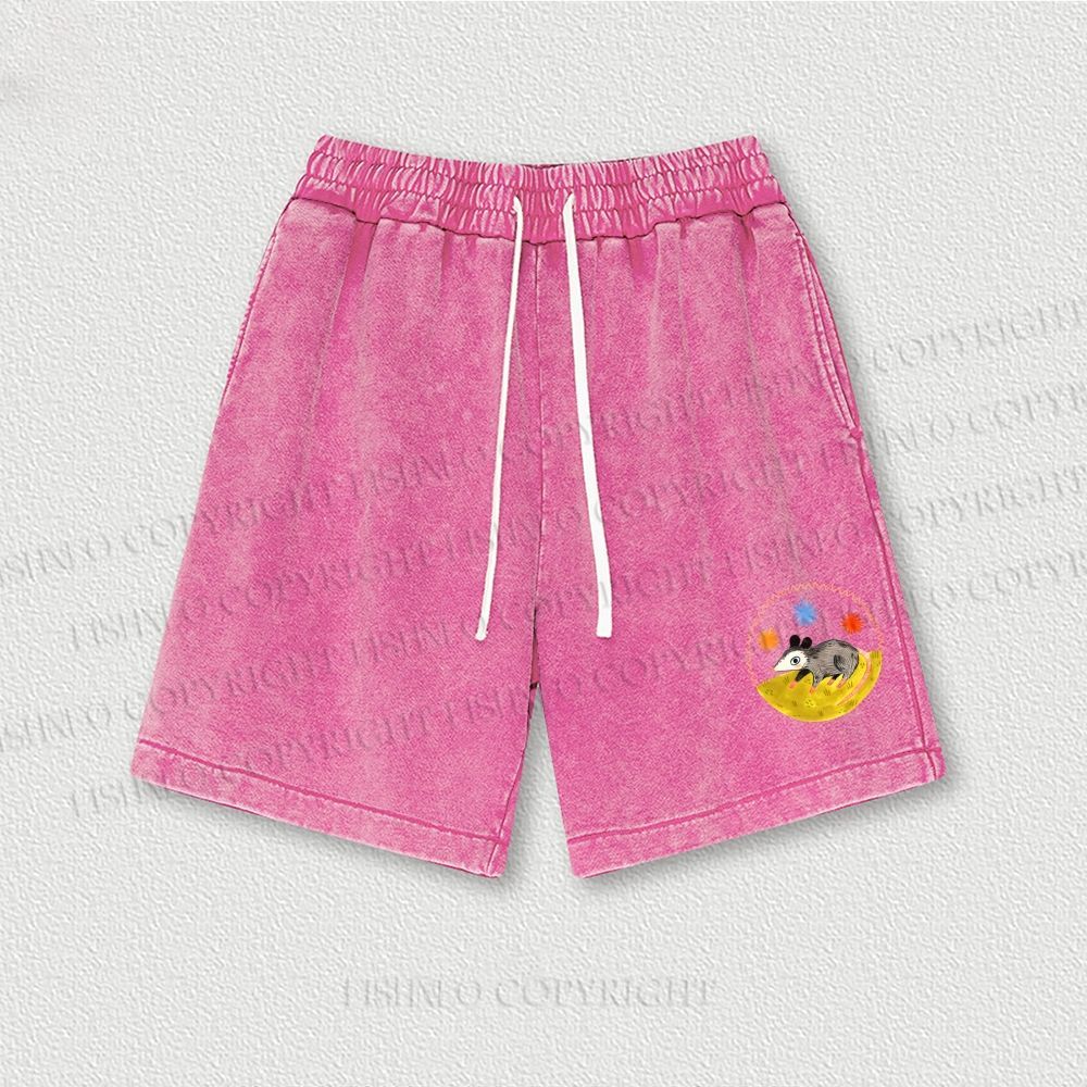 Cute Opossum Washed Vintage Shorts