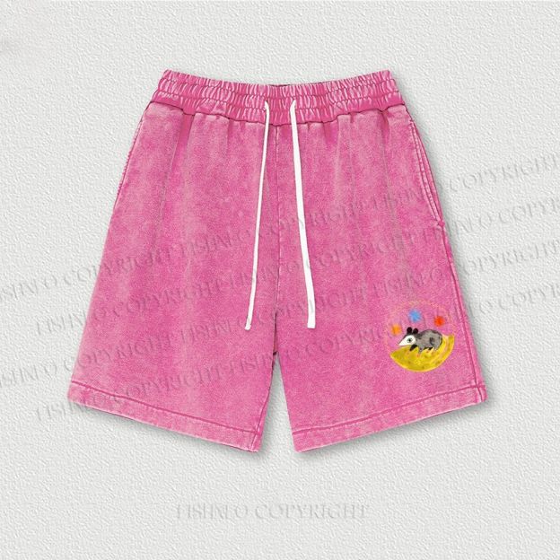 Cute Opossum Washed Vintage Shorts