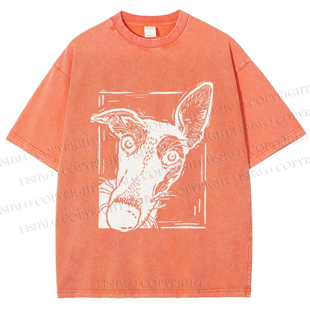 Unisex Big Dog Printed Washed Tee