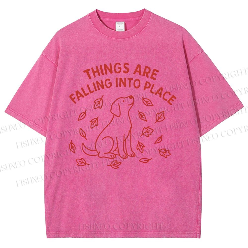 Unisex Things Are Falling Into Place Printed Washed Tee