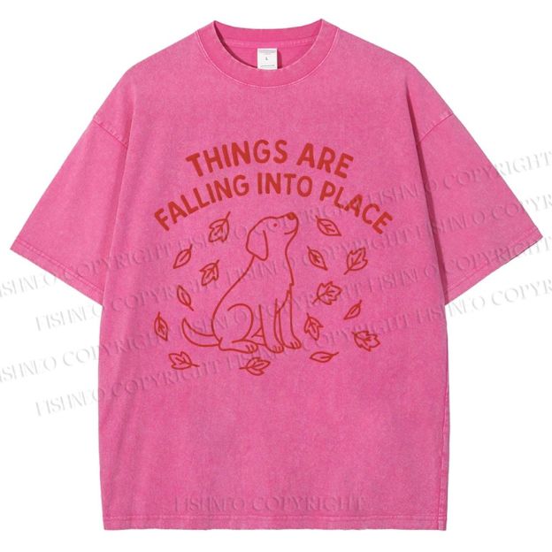 Unisex Things Are Falling Into Place Printed Washed Tee