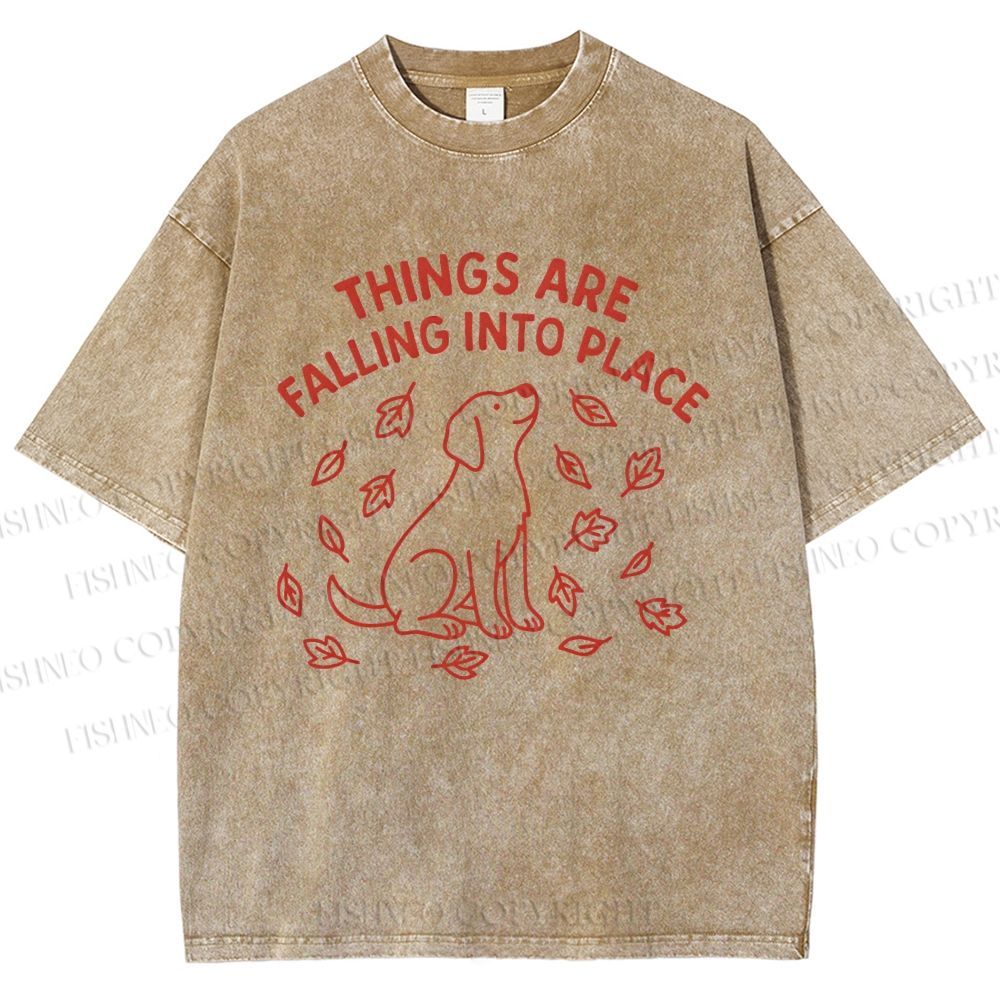 Unisex Things Are Falling Into Place Printed Washed Tee