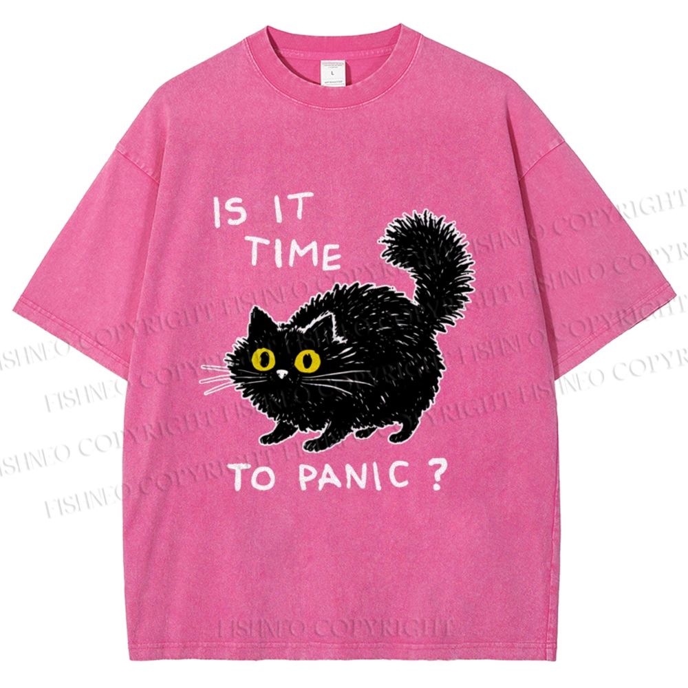 Unisex Is It Time To Panic Printed Washed Tee