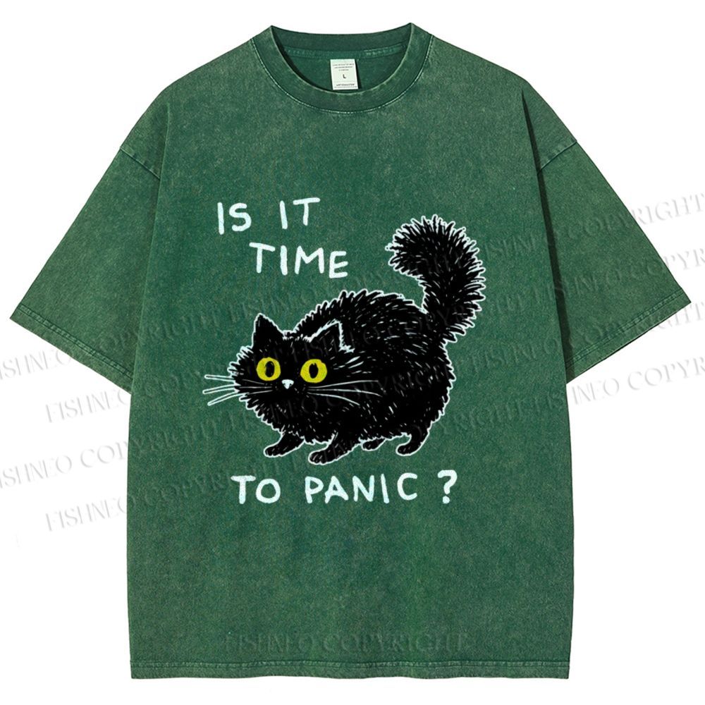 Unisex Is It Time To Panic Printed Washed Tee