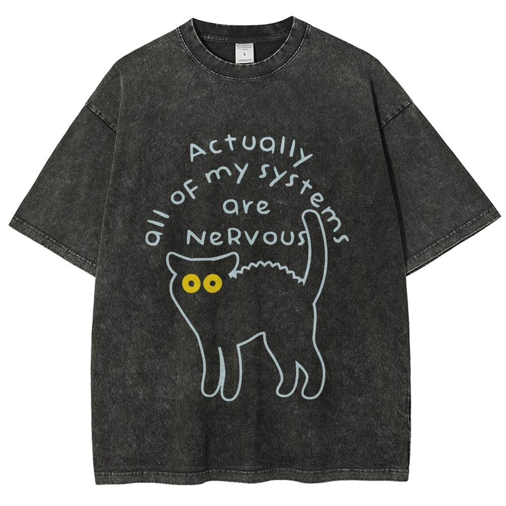 Actually All Of My Systems Are Nervous Washed T-Shirt