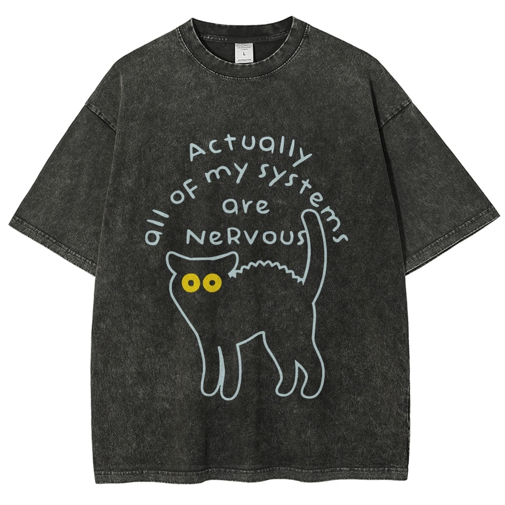Actually All Of My Systems Are Nervous Washed T-Shirt