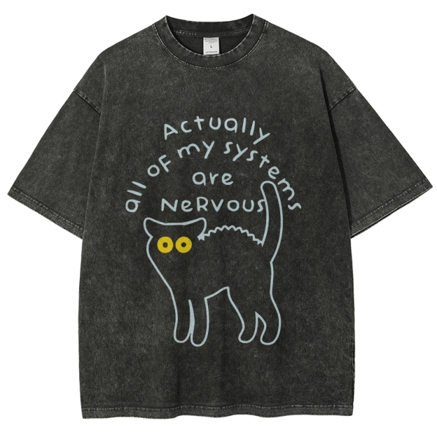 Actually All Of My Systems Are Nervous Washed T-Shirt
