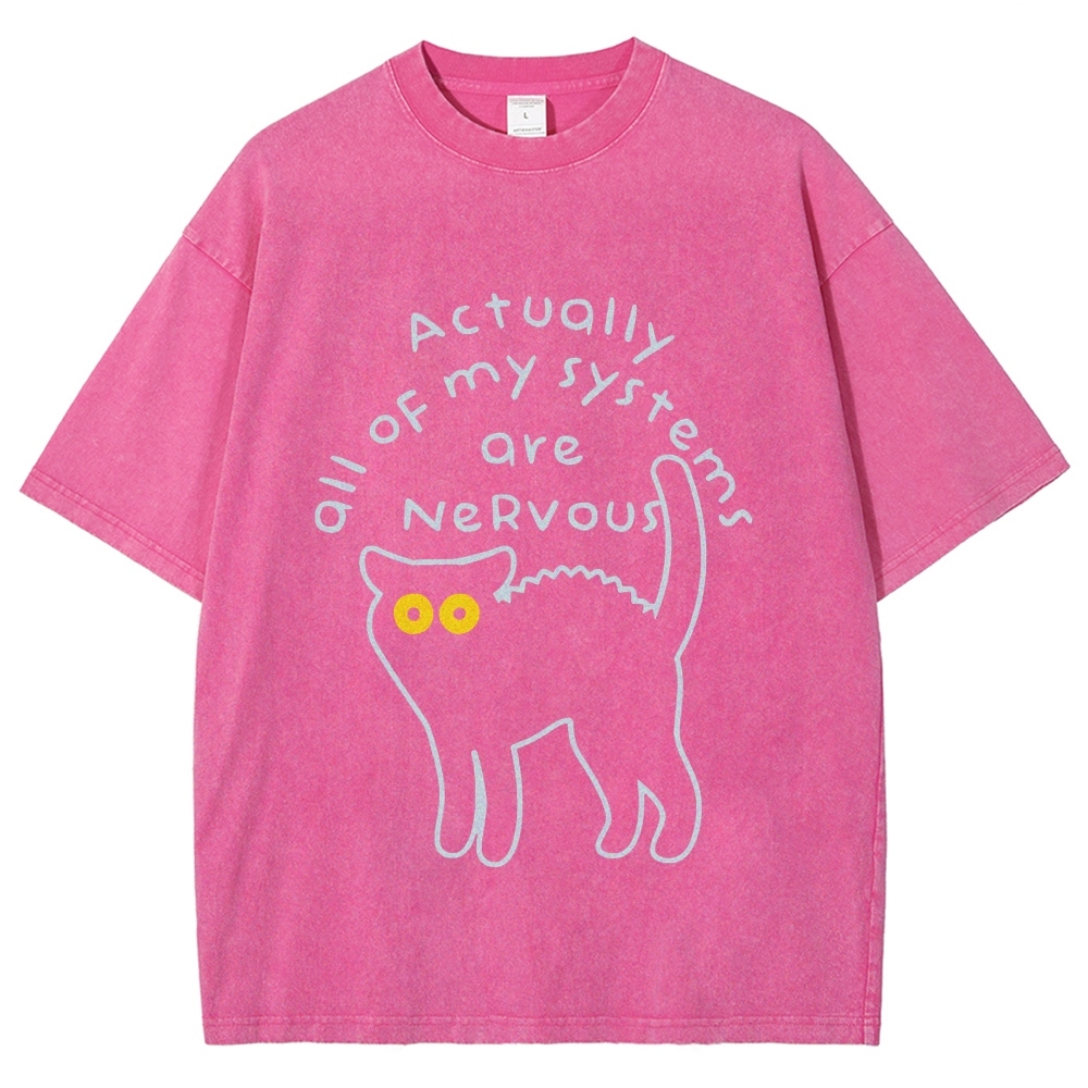 Actually All Of My Systems Are Nervous Washed T-Shirt