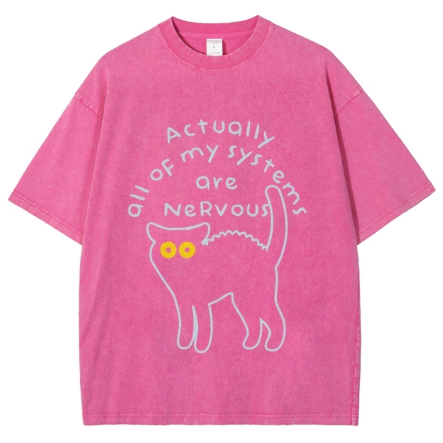 Actually All Of My Systems Are Nervous Washed T-Shirt