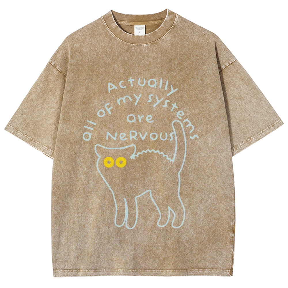 Actually All Of My Systems Are Nervous Washed T-Shirt