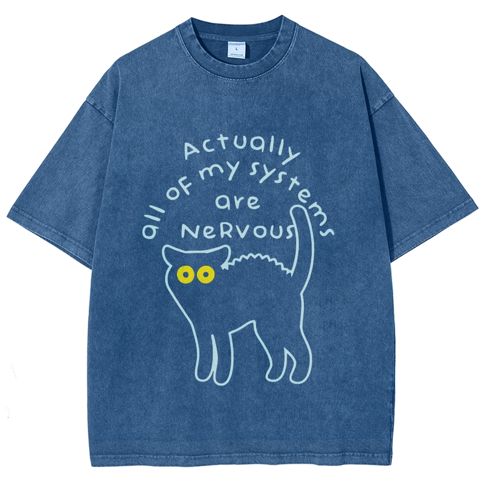 Actually All Of My Systems Are Nervous Washed T-Shirt