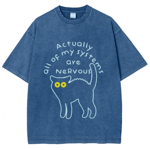 Actually All Of My Systems Are Nervous Washed T-Shirt