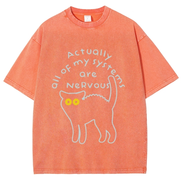 Actually All Of My Systems Are Nervous Washed T-Shirt