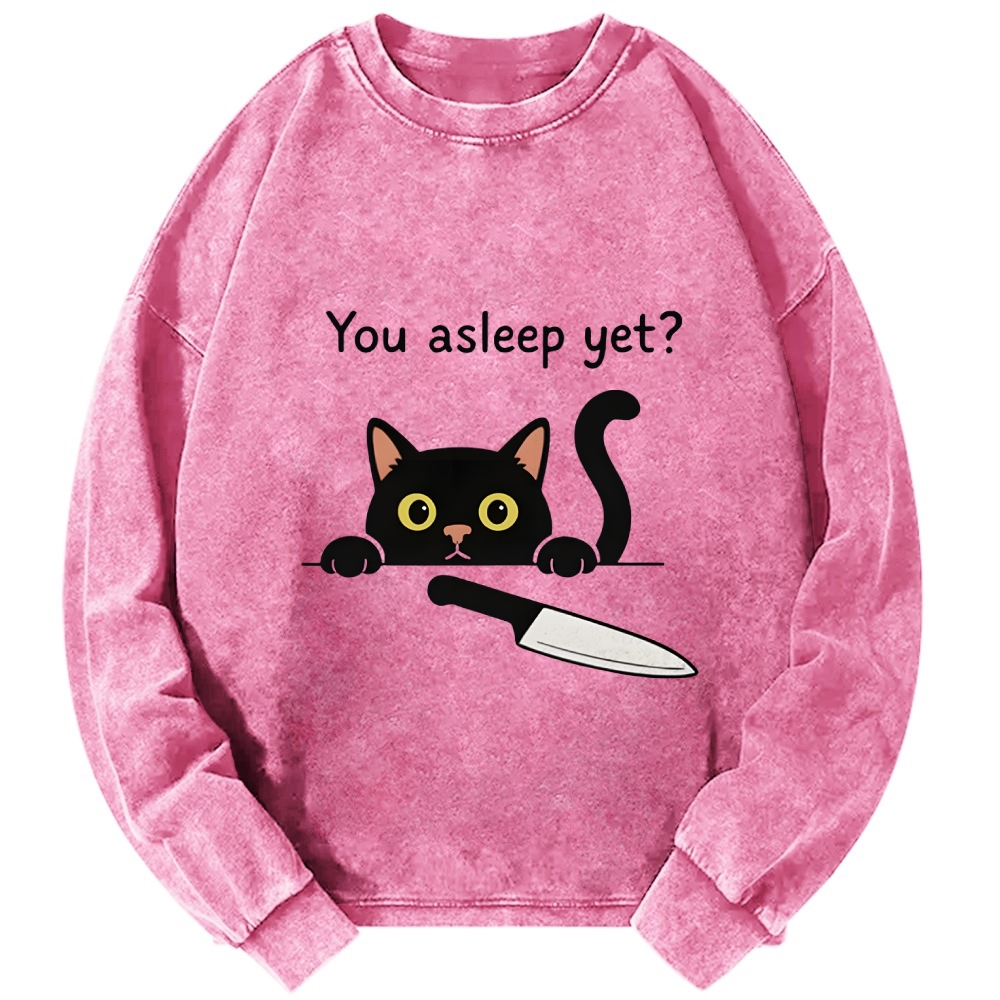 Cat With Murderous Intent Washed Sweatshirt