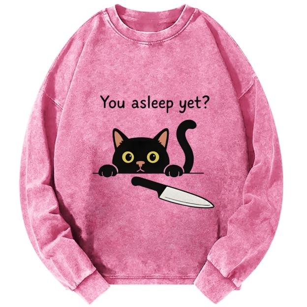 Cat With Murderous Intent Washed Sweatshirt