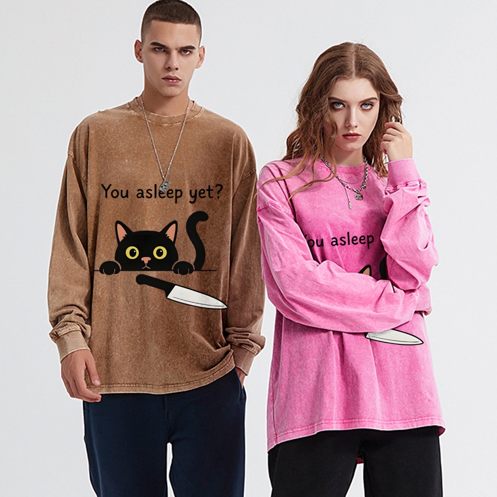 Cat With Murderous Intent Washed Sweatshirt