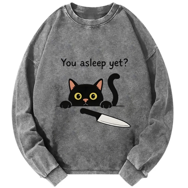 Cat With Murderous Intent Washed Sweatshirt