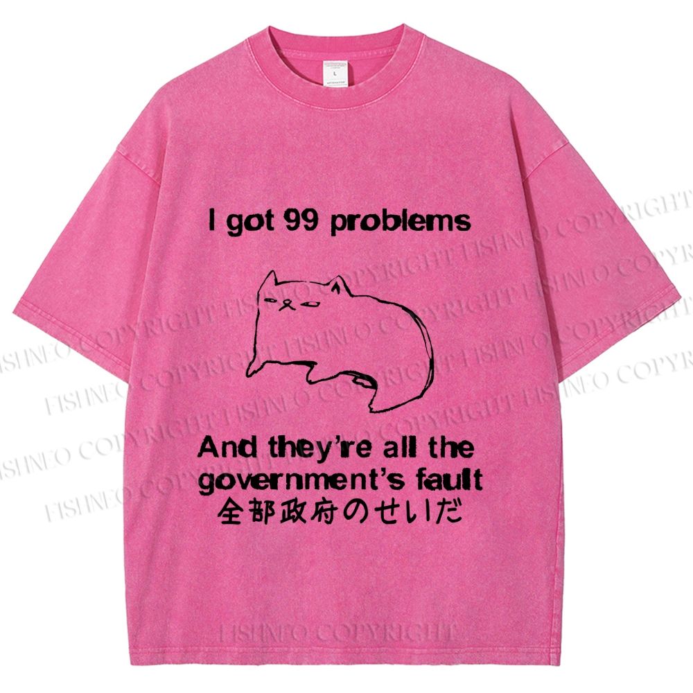 Unisex 99 Problems are All The Goverment's Fault Cat Printed Washed Tee